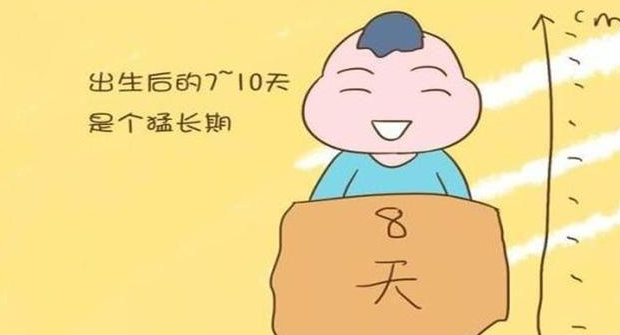 寶寶猛漲期 寶寶猛漲期