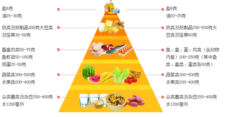 營養在人的一生中起著至關重要的作用