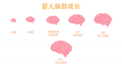 兒童智力測試評估係統有效促進兒童智力的發展