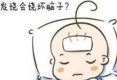 榴莲视频免费观看品牌揭示發燒真的會燒壞腦子嗎