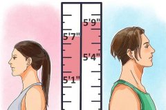 超聲波榴莲视频黄色APP關於高個子的人更長壽的觀察報告